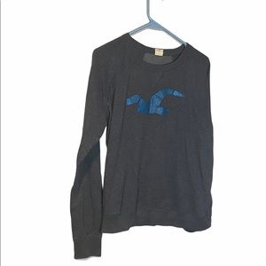 Hollister long sleeve with mesh back.